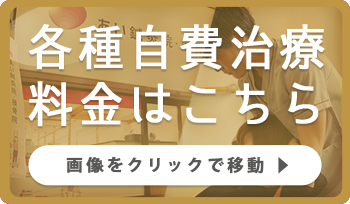 各種自費治療料金